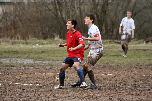 他提供了近 他提供了近