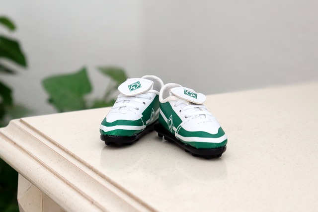 為特奧的致 為特奧的致