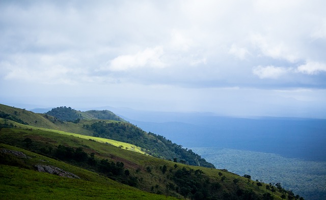 烈的竞争 烈的竞争