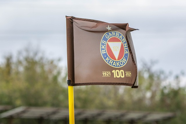 通过分析中 通过分析中