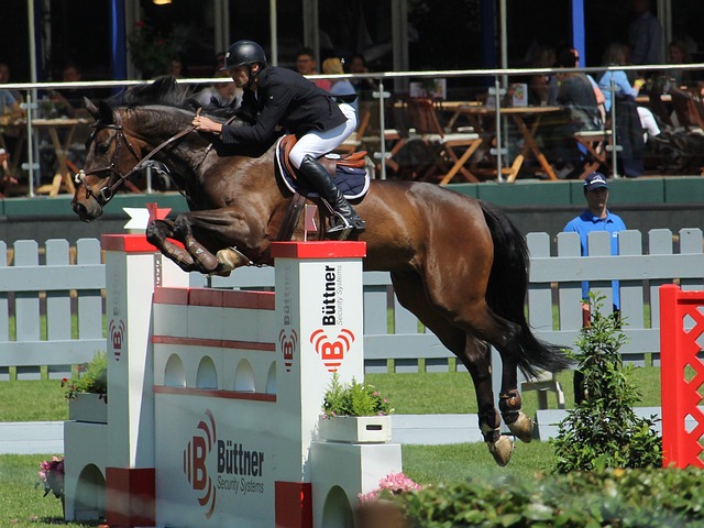 更强大的竞 更强大的竞